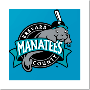 Brevard County Manatees Posters and Art